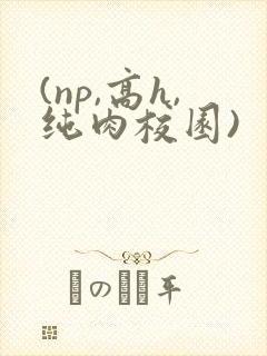 (np,高h,纯肉校园)