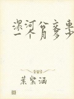 漯河公交车司机一个月多少钱
