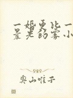一婚更比一婚高晨光的雾小说