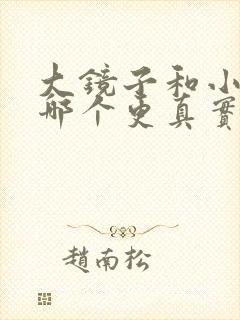 大镜子和小镜子哪个更真实