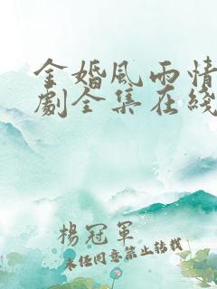 金婚风雨情电视剧全集在线观看免费播放