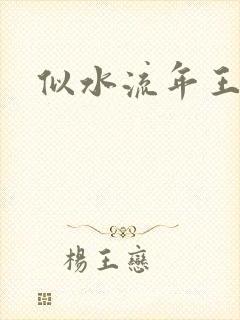 似水流年王小波
