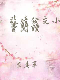 苏晴公交小说免费阅读
