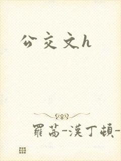 公交文h