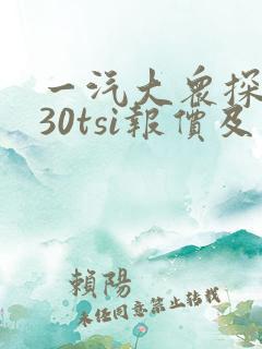 一汽大众探岳330tsi报价及图片