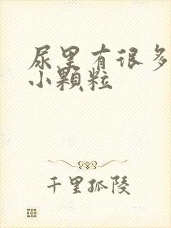 尿里有很多透明小颗粒