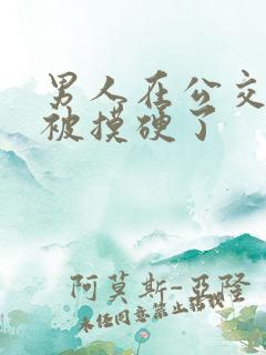 男人在公交车上被摸硬了