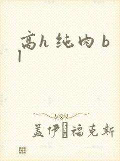 高h 纯肉 bl