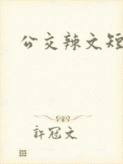 公交辣文短篇