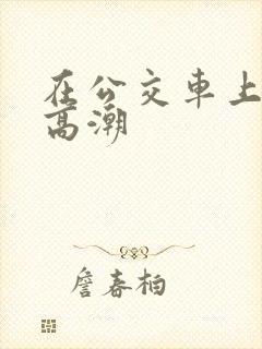 在公交车上做到高潮