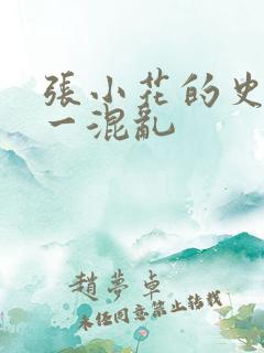 张小花的史上第一混乱