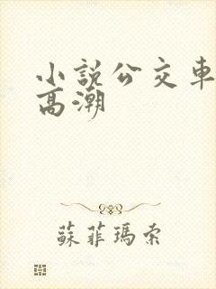 小说公交车被上高潮