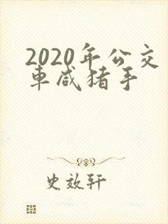2020年公交车咸猪手