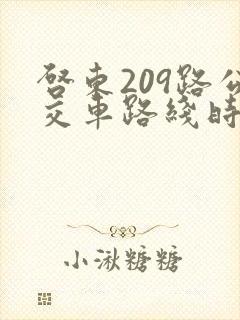 启东209路公交车路线时间表