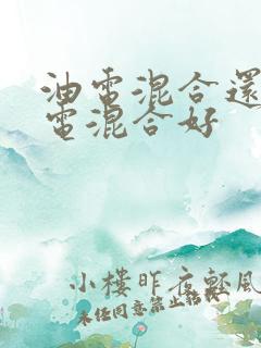 油电混合还是插电混合好