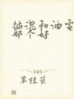 插混和油电混动哪个好