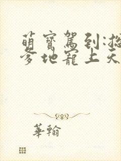 萌宝驾到:总裁爹地宠上天