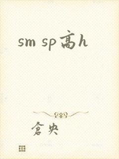 sm sp高h