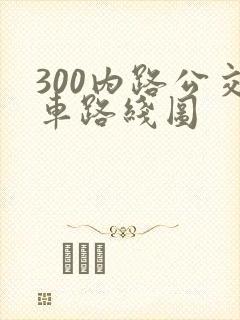 300内路公交车路线图