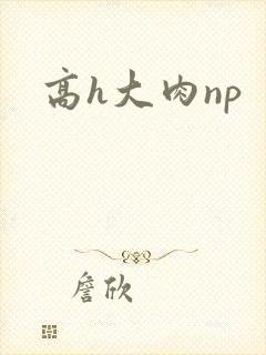 高h大肉np