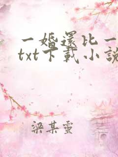 一婚还比一婚高txt下载小说