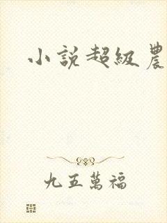 小说超级农民