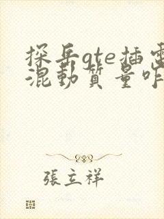 探岳gte插电混动质量咋样