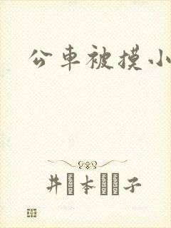公车被摸小说