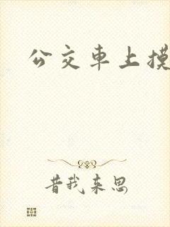 公交车上摸逼