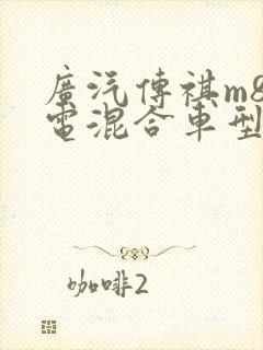 广汽传祺m8油电混合车型