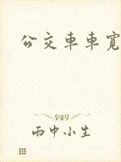 公交车车宽