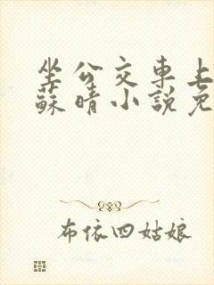 坐公交车上班的苏晴小说免费阅读