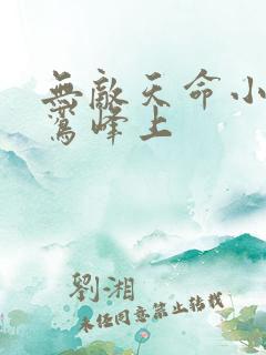 无敌天命小说青鸾峰上