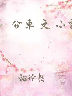 公车 文 小说