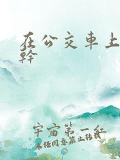 在公交车上被人干