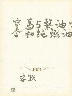 宝马5系油电混合和纯燃油哪个好
