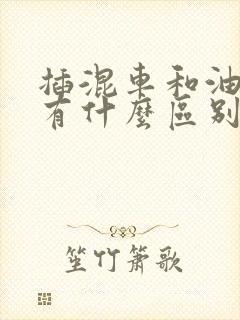 插混车和油电混有什么区别