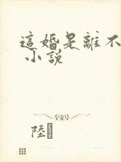 这婚是离不了了 小说