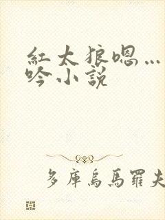 红太狼嗯…啊呻吟小说
