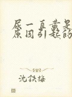 尿一直黄是什么原因引起的