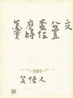 怎么查公交车的实时位置