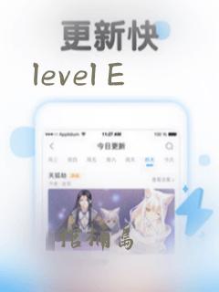 level E