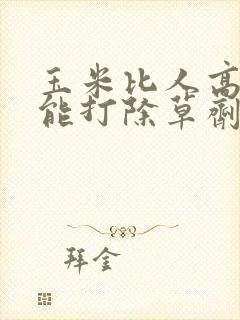 玉米比人高了还能打除草剂吗