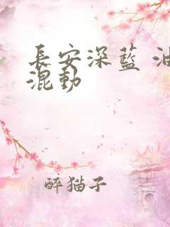 长安深蓝 油电混动