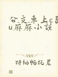 公交车上c巨ru麻麻小说