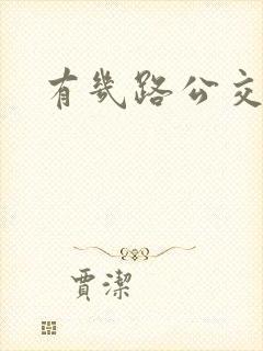 有几路公交车去