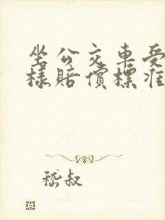 坐公交车受伤怎样赔偿标准