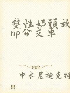 双性奶头放荡受np公交车