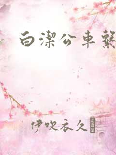白洁公车系列