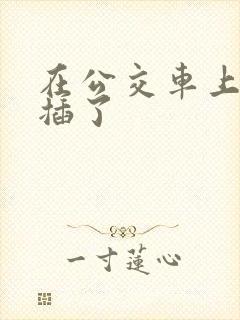 在公交车上被人插了